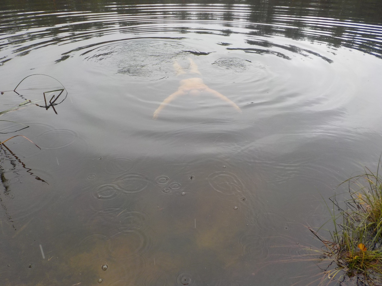 Карта шалово перечицкого заказника