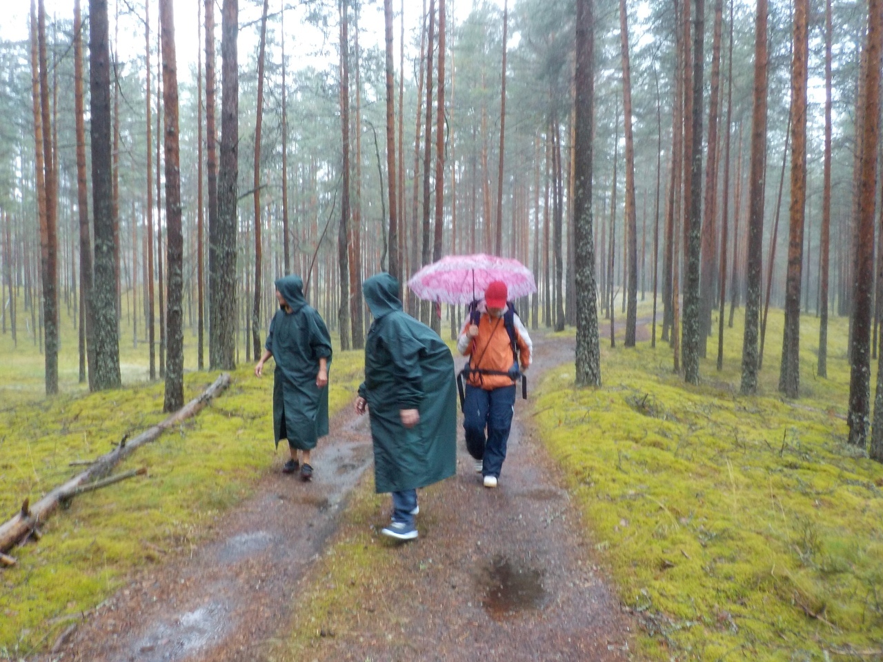 Карта шалово перечицкого заказника