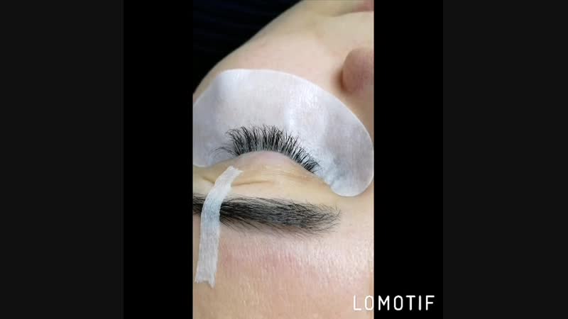 Lomotif_20-янв.-2019-11404871.mp4