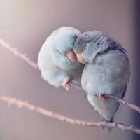 Мария Рогулина | 