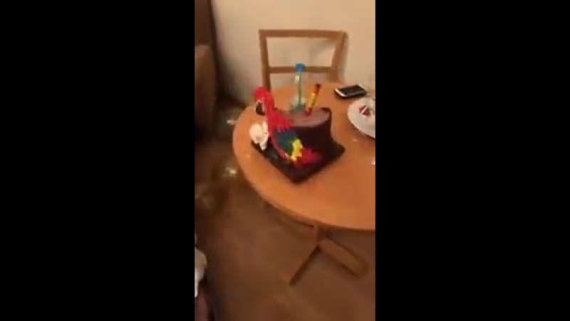 Kaysar falando que meu filho tá chapado e a Paula indo atrás dele, socorro