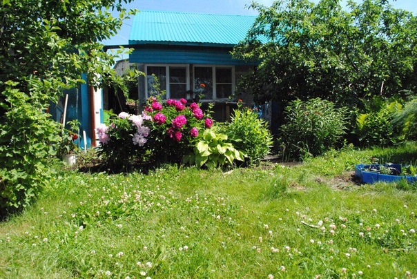 Продаётся дача! (20 минут от Тольятти).<br>За с. Васильевка и Рассвет - <br>СНТ Родники <br>Дом - кухня-гостиная и две комнаты. В доме есть печь! Можно жить зимой! постройка -2014г.<br>Баня - Просторная. Постройка 2015г<br>Склад для инструментов и садовой техники, просторный! <br>Парковочное место на две машины<br>Насаждения: яблони, вишня, груша, сливы. Ягоды. Все плодоносит!<br>Теплица большая, стеклянная.<br>Свет круглый год! <br>Вода питьевая из скважины, холодная и горячая (водонагреватель)<br>В 5 минутах ходьбы грибной лес. <br>Недалеко лесное озеро.<br>Газон для отдыха, Соседи все дружные.<br>Документы в порядке!<br>Возможен торг!<br>Возможно в РАССРОЧКУ до 6 мес.<br>520 000р.<br><br>89063380796 Любовь - фото Фото: Продаётся дача! (20 минут от Тольятти).<br>За с. Васильевка и Рассвет - <br>СНТ Родники <br>Дом - кухня-гостиная и две комнаты. В доме есть печь! Можно жить зимой! постройка -2014г.<br>Баня - Просторная. Постройка 2015г<br>Склад для инструментов и садовой техники, просторный! <br>Парковочное место на две машины<br>Насаждения: яблони, вишня, груша, сливы. Ягоды. Все плодоносит!<br>Теплица большая, стеклянная.<br>Свет круглый год! <br>Вода питьевая из скважины, холодная и горячая (водонагреватель)<br>В 5 минутах ходьбы грибной лес. <br>Недалеко лесное озеро.<br>Газон для отдыха, Соседи все дружные.<br>Документы в порядке!<br>Возможен торг!<br>Возможно в РАССРОЧКУ до 6 мес.<br>520 000р.<br><br>89063380796 Любовь