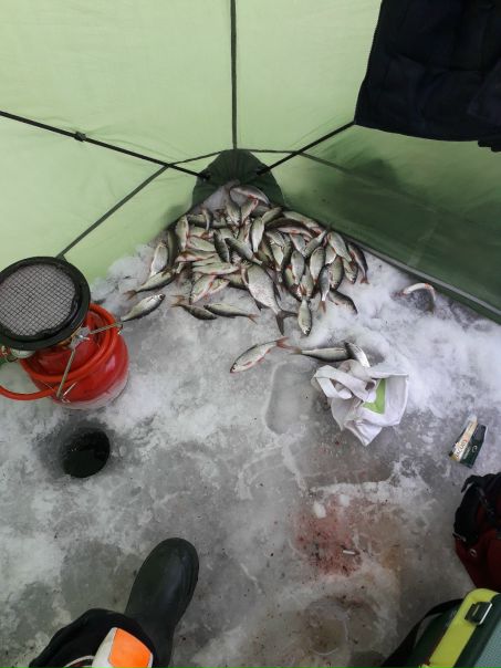 Рыбалка — Озернинское водохранилище, Московская область, 55.769, 36.197