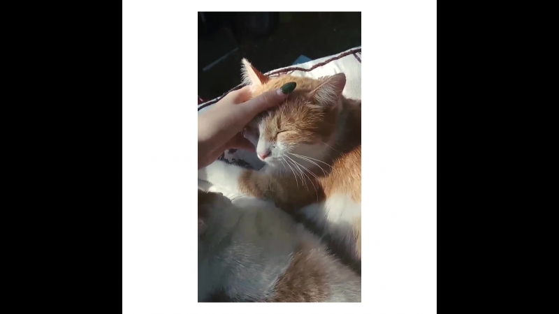 ☀