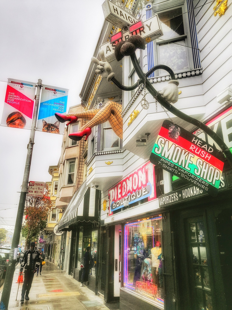 Ударим автопробегом по дикому западу! USA 2019 7-25 марта.