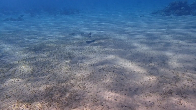 Marsa Alam - Egypt