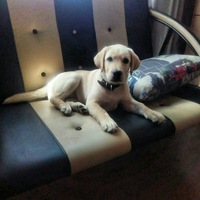 Мария Чистякова | Новосибирск