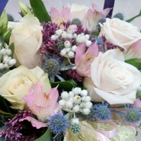 Алина Гудкова