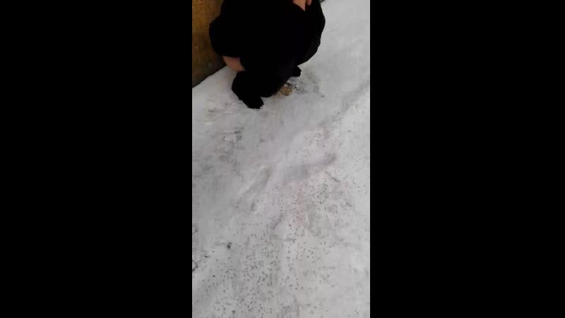 Бро кекает