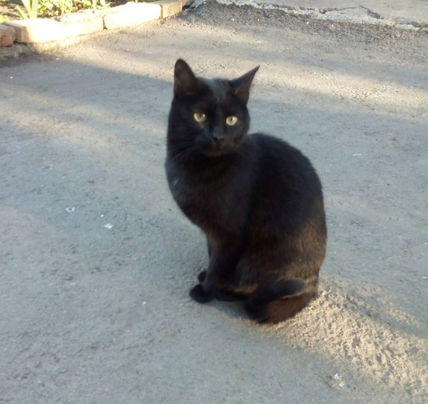 г. Пенза
ПОТЕРЯЛАСЬ или ВЫБРОСИЛИ!!! МОЖЕТ КТО ИЩЕТ!?