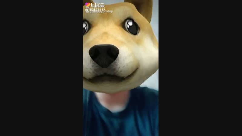 Like_6636177034449520887.mp4