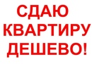 Объявление от Vasya - фото №1