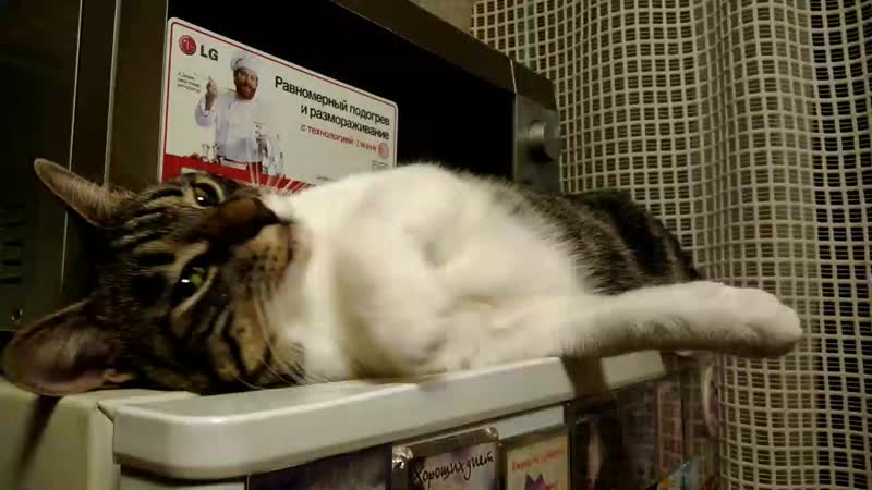 V_20190110_202417.mp4