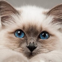 Соня Котова | Нижний Новгород