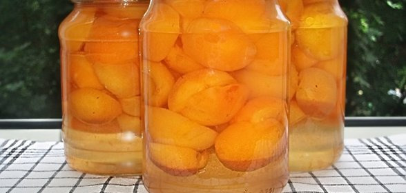 https://pp.userapi.com/c849124/v849124400/7af6f/fUWMJYkzeO4.jpg