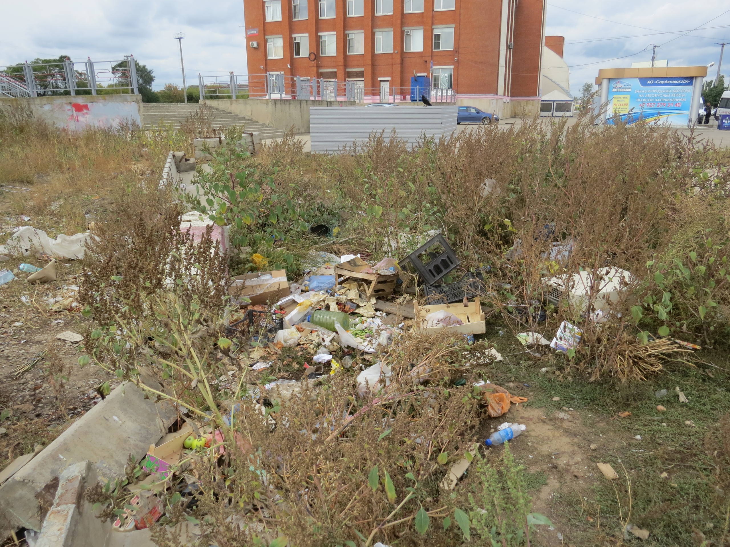 Фотография