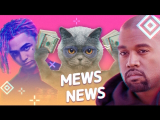 Mews News: Кот за 5 млн. рублей