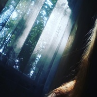 Екатерина Бокова | Харцызск