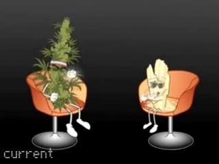 SuperNews! / Master Debaters: Pot vs Meth: SuperNews!