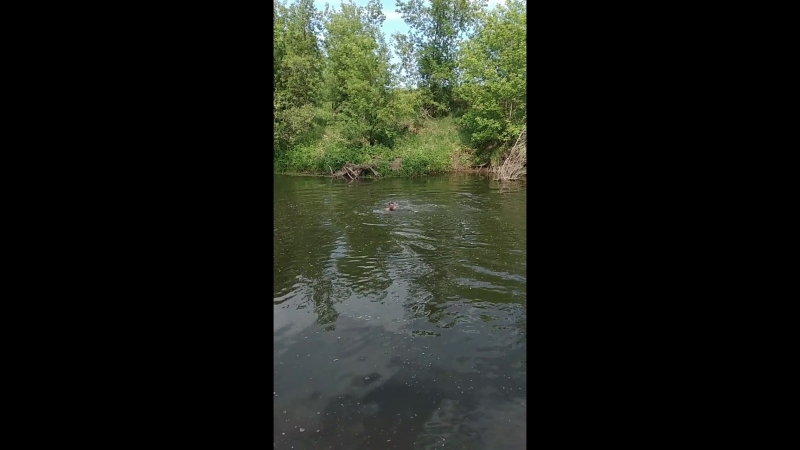 На реке Тойма 02.07.18г.