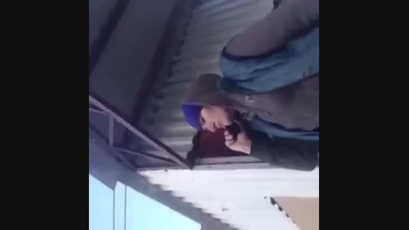 дикая Патя