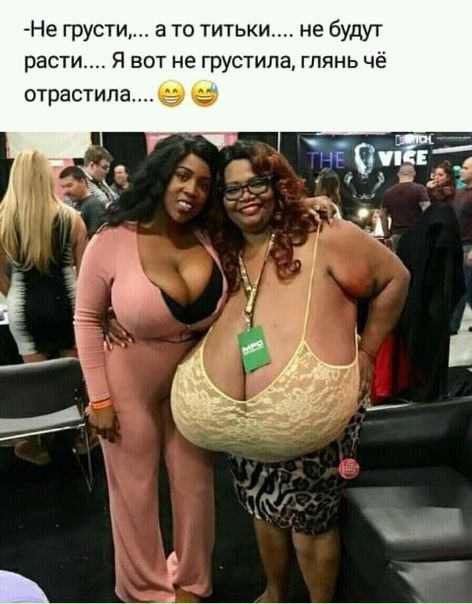 HWbioXnJ3j4.jpg