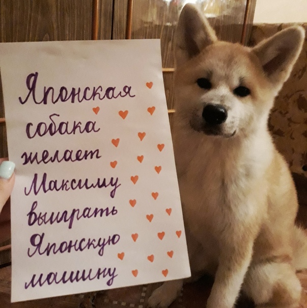Вы поддержали своих капитанов А вот многие уже это сделали. 