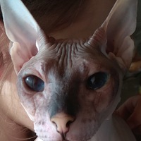 Сергей Ларин | Ижевск