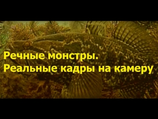 отличный ответ. Очень групповой горловой минет считаю, что правы