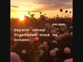 _pap_mam_