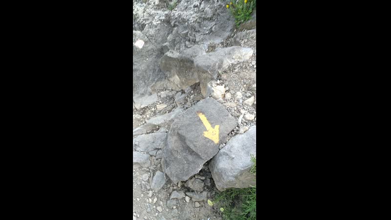 VID_20190525_174900.mp4