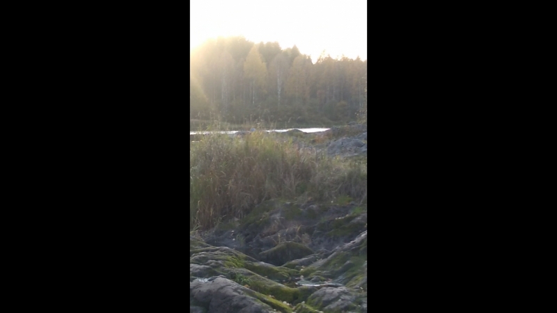 VID_20181006_170618.mp4