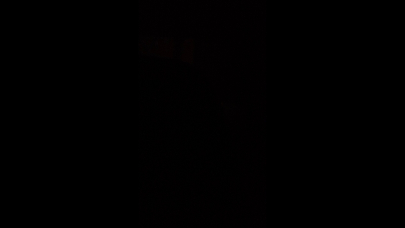 Дмитрий Видманов — Live