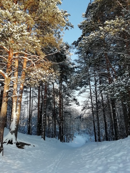 фотография из вКонтакте