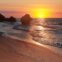 Оксана Плешакова