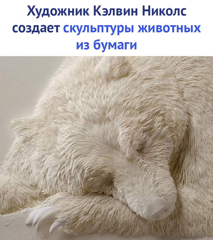 https://pp.userapi.com/c849128/v849128817/96d34/aVYUGek3Fd8.jpg