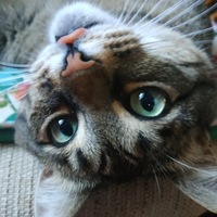 Екатерина Бунеева