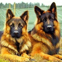 Динар Шакиров | Белорецк