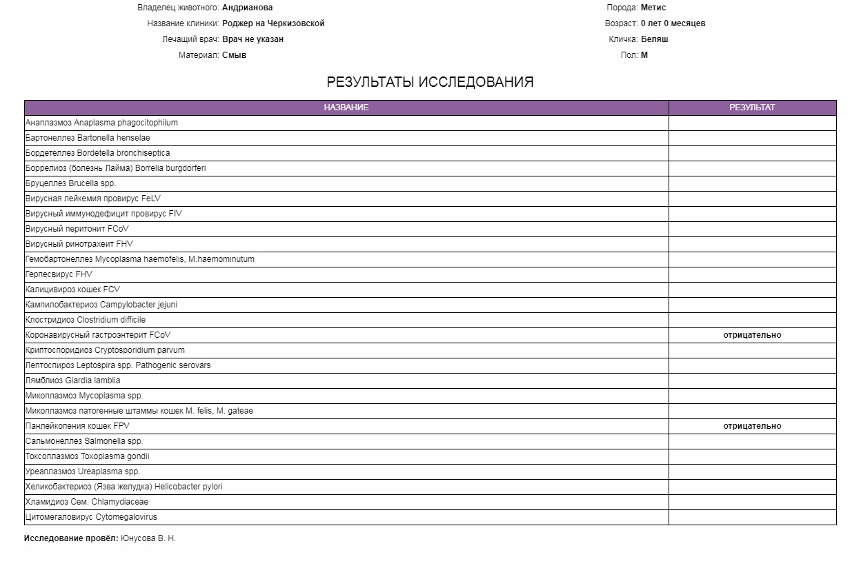 Микоплазмоз у кошек симптомы и схема лечения