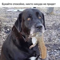 Ирина Доржиева | Багдарин