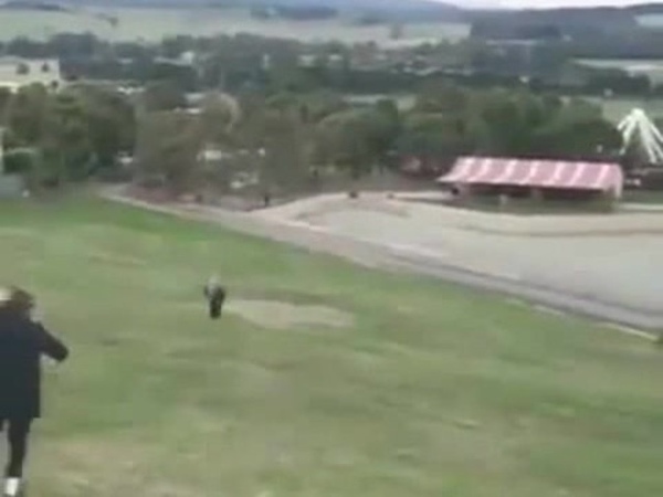 Seemed like a good idea