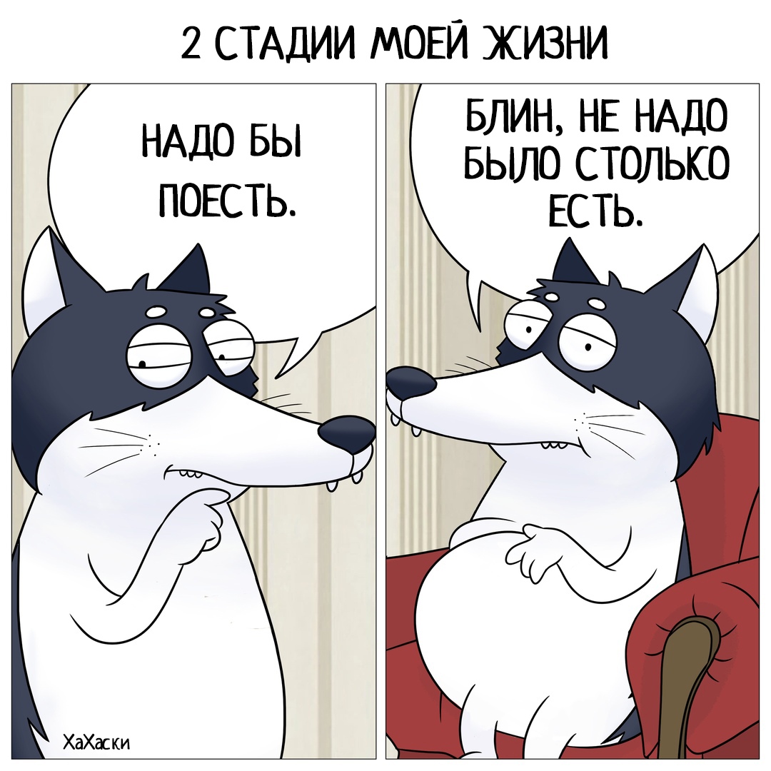 https://pp.userapi.com/c849136/v849136015/c9098/Kx47fFB7ILk.jpg