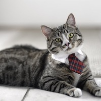 Ксения Коновалова | Тверь