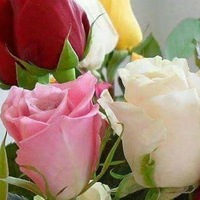 Яна Кузьменко | Красноярск