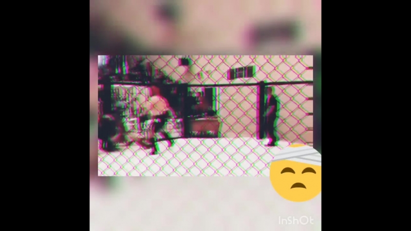 Cruser_vine10