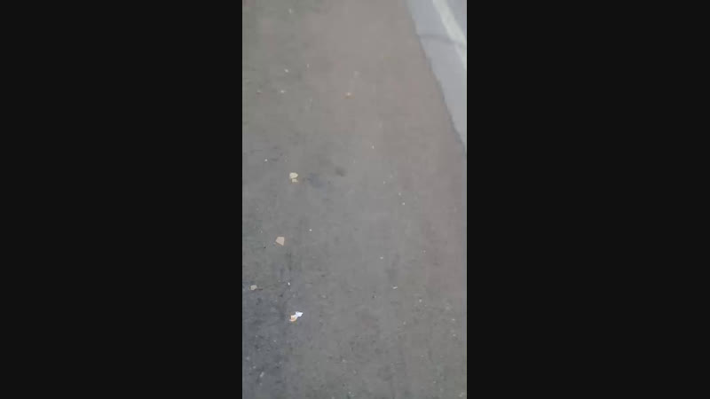 VIP) ЗАКАРПАТТЯ) - Live