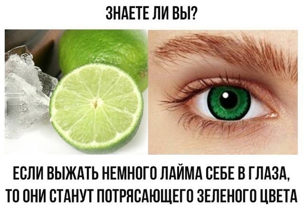 смешные картинки