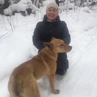 Елена Терентьева
