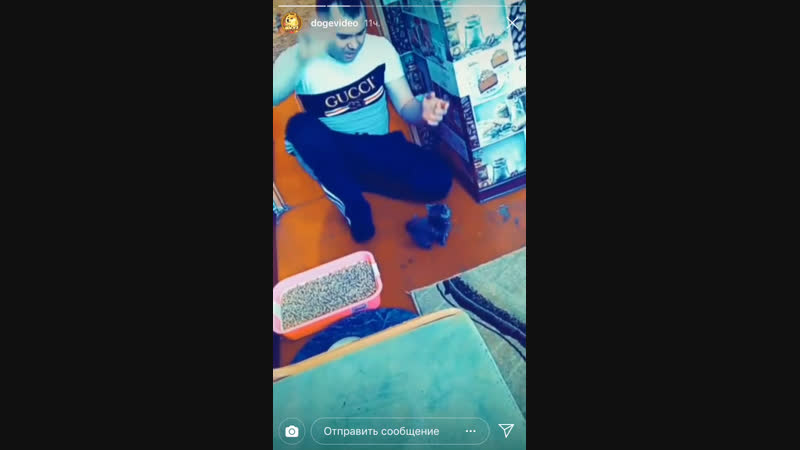 Вступаю я в какаху😂😂😂