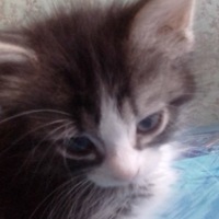 Дарья Кропачева | Березники